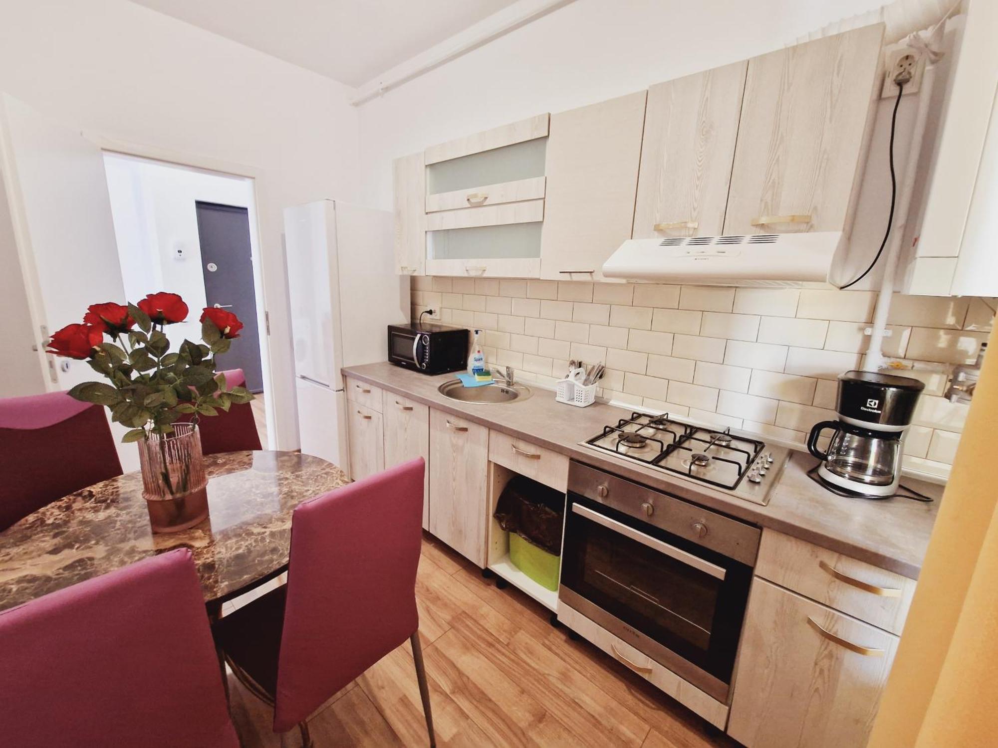 Ultracentral 5* Boutique Hotel Style Apartment. Brand New. 2 Rooms. Spacious. Free Parking Cluj-Napoca Exterior foto